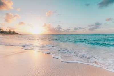 Holiday Packages